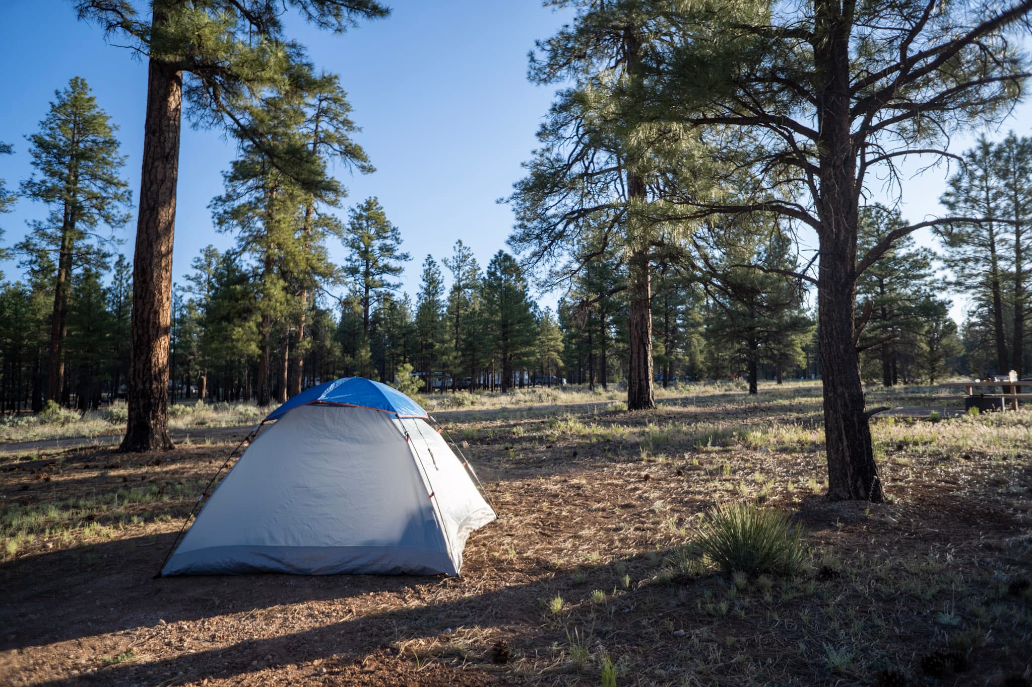 Tent in the morning